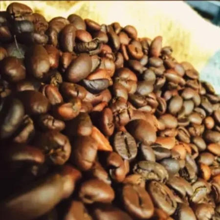 Origin Roast – Biji Kopi Panggang Premium